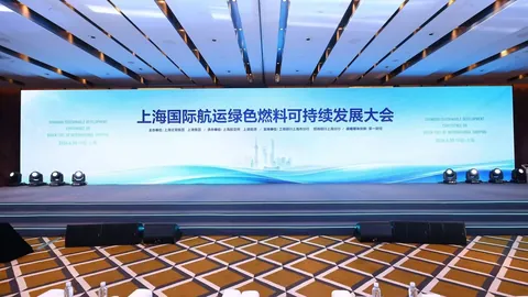 英雄联盟12冠军战队，背后的故事与努力